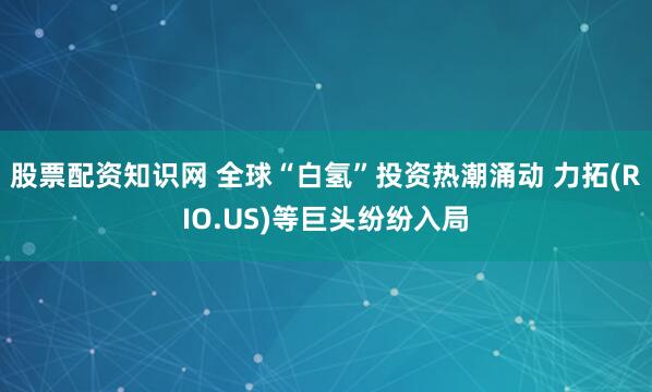 股票配资知识网 全球“白氢”投资热潮涌动 力拓(RIO.US)等巨头纷纷入局