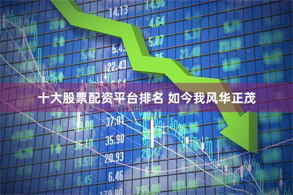 十大股票配资平台排名 如今我风华正茂